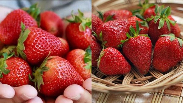 Health Benefits of Strawberries The Delicious Heart-Healthy Superfruit for Skin Vitality Digestion