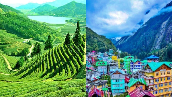 Summer Tour to Darjeeling amp amp Sikkim Enjoy 8 Days of Pure Bliss and Adventure Full Details Here now