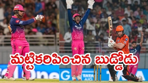 IPL 2026 Vaibhav Sooryavanshi Explosive 97 and Clinical Bowling Performance Help RR Eliminate SRH IPL 2026 Vaibhav Sooryavanshi Explosive 97 and Clinical Bowling Performance Help RR Eliminate SRH