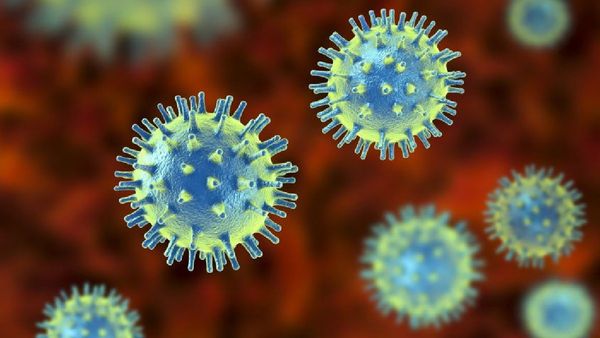 new-virus-named-hanta-outbreak-near-cape-verde-on-cruise-ship-prompts-health-warning-across-the-worl