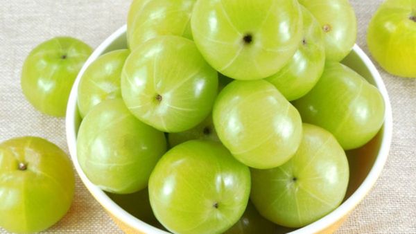Eat Amla Before Meals To Control Blood Sugar Levels The Gooseberry Helps Diabetes And Boost Health Eat Amla Before Meals To Control Blood Sugar Levels The Gooseberry Helps Diabetes And Boost Health