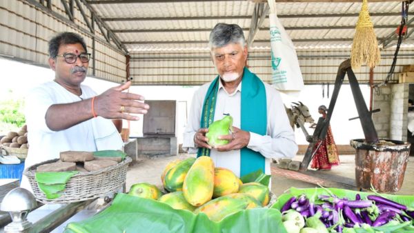 CM Chandrababu Naidu Calls Wife Bhuvaneswari From Farm to Buy Cold-Pressed Oil on Her Birthday CM Chandrababu Naidu Calls Wife Bhuvaneswari From Farm to Buy Cold-Pressed Oil on Her Birthday