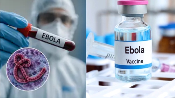 Ebola Vaccine Development India Serum Institute Partners with Oxford for New Strain Full Details