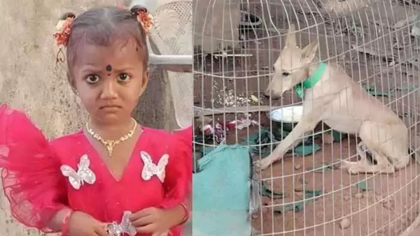 Gnaneshwari missing case Mystery deepens in West Godavari as pet dog key evidence in this case dies