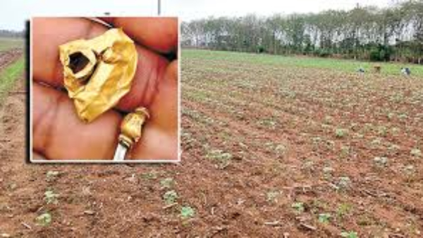 Gold in farmland gold Ornaments Discovered in Warangal Farmland Police Complaint Filed Over Gold