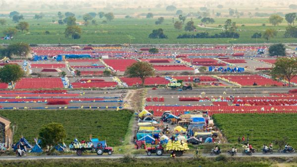 China Rejects Guntur Chilli Containers CM Chandrababu Naidu Urges Farmers to Shift to Organic Farming China Rejects Guntur Chilli Containers CM Chandrababu Naidu Urges Farmers to Shift to Organic Farming