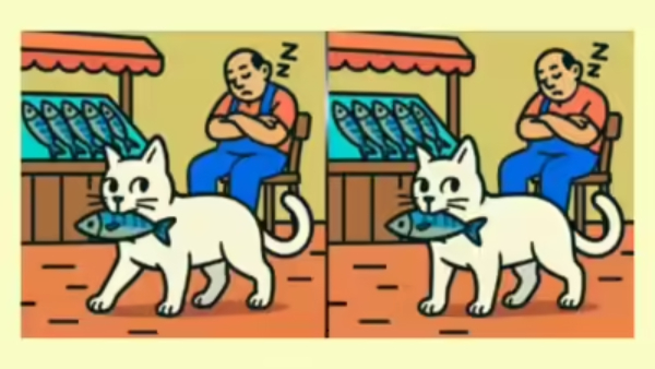 illusion-of-finding-three-differences-in-picture-and-test-to-eyes-sharpness-also-for-memory-power-im