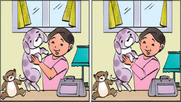 illusion-of-finding-six-differences-in-this-picture-and-test-to-eyes-sharpness-also-for-memory-power
