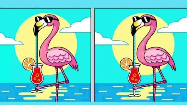 illusion-of-finding-three-differences-in-the-two-pictures-and-test-to-eyes-for-memory-power-improvem