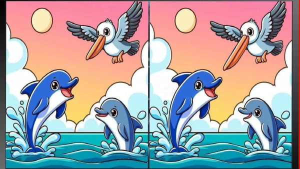 illusion-of-finding-three-differences-in-photos-and-test-to-eyes-also-for-memory-power-improvement illusion-of-finding-three-differences-in-photos-and-test-to-eyes-also-for-memory-power-improvement