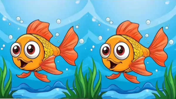 illusion-of-finding-three-differences-in-photos-for-test-to-eyes-also-memory-power-improvement
