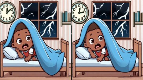 illusion-task-of-finding-three-differences-in-photos-for-test-to-eyes-also-memory-power-improvement illusion-task-of-finding-three-differences-in-photos-for-test-to-eyes-also-memory-power-improvement