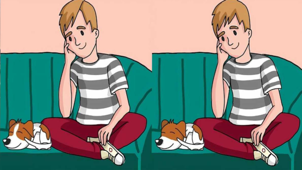 illusion-of-finding-three-differences-in-this-photos-for-the-test-to-eyes-also-memory-power-improvem