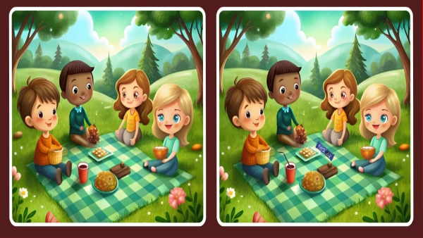 illusion-of-finding-the-three-differences-in-photos-for-test-to-eyes-also-memory-power-improvement