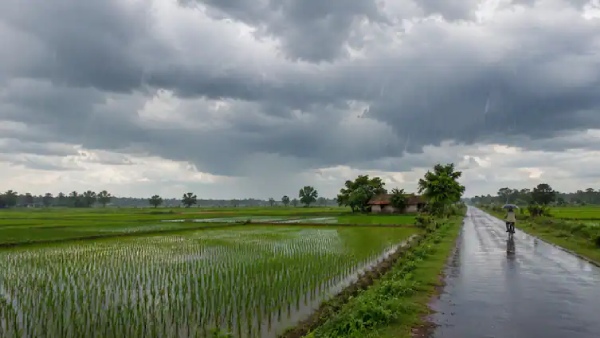 India Records 3rd Worst June Rainfall in 126 Years With 42 Per Cent Deficit Reports IMD Details