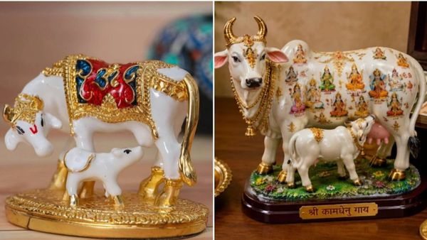 Kamadhenu Idol Vastu Guide Best Direction For Wealth Prosperity And Happiness At Home Kamadhenu Idol Vastu Guide Best Direction For Wealth Prosperity And Happiness At Home
