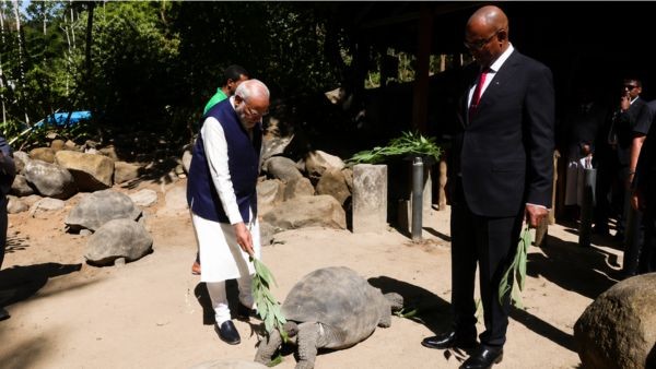 Historic Moment PM Modi Meets 194-Year-Old Giant Tortoise Jonathan During His Seychelles Tour 2026
