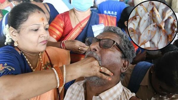 Significance Of Mrigasira Karthi Why Eating Fish Is Health Beneficial During Seasonal Climate Change Era Significance Of Mrigasira Karthi Why Eating Fish Is Health Beneficial During Seasonal Climate Change Era