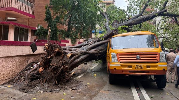 Mumbai School Bus Accident 10 Students Injured 1 Trapped After Tree Collapses in Chembur Details