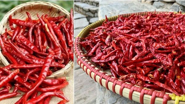Red Chilli Vastu Remedies Eliminate Negative Energy Using These Ancient specific rituals recover money