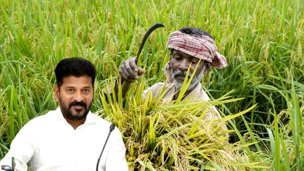 Switch To Pulses And Oilseeds To Boost Soil Fertility CM Revanth Reddy Advises Farmers Now Switch To Pulses And Oilseeds To Boost Soil Fertility CM Revanth Reddy Advises Farmers Now