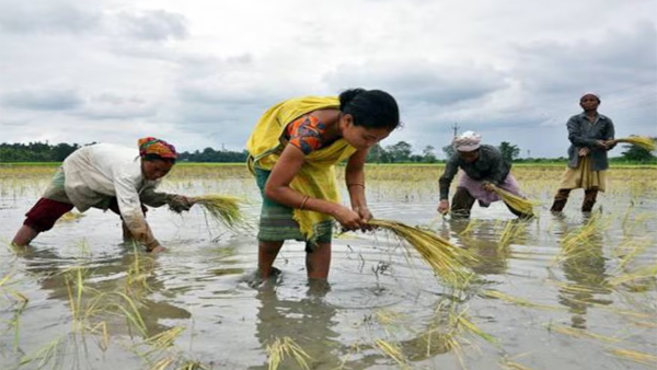 Good news on rythu bharosa Telangana Govt ready to release Rythu Bharosa investment support