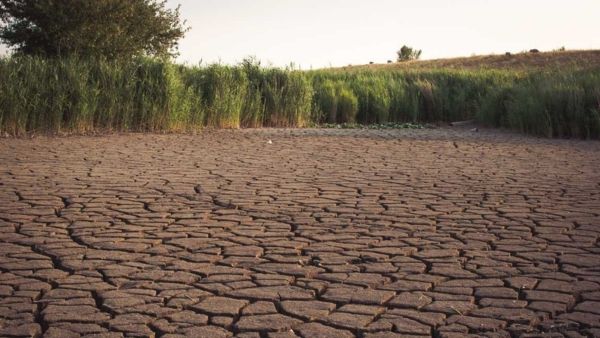 Weak Southwest Monsoon Deficit Triggers 4 PC Decline in Kharif Sowing Across India Says 360 ONE Report Weak Southwest Monsoon Deficit Triggers 4 PC Decline in Kharif Sowing Across India Says 360 ONE Report