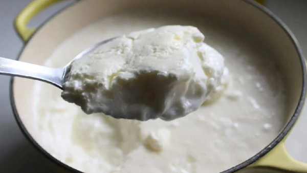 easy-and-best-trick-to-turn-milk-into-curd-in-just-15-minutes-and-health-benefits-of-eating-curd