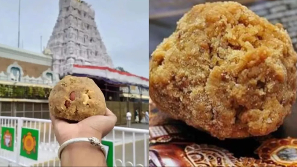 TTD Signs MoU with CSIR-CFTRI to Ensure Safe Nutritious High-Quality Tirumala Laddu and Prasadams