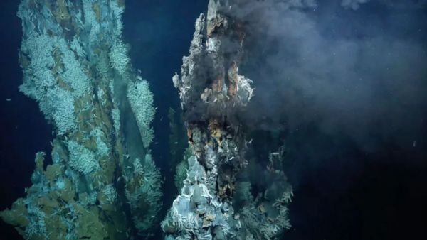 Incredible Deep Sea Snail Survival Strategy How Tiny Larvae Travel Miles To New Hydrothermal Vents Incredible Deep Sea Snail Survival Strategy How Tiny Larvae Travel Miles To New Hydrothermal Vents