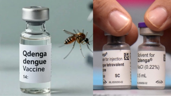 India Approves First Dengue Vaccine Qdenga for Ages 4 to 60 DCGI Clears Takeda Vaccine Details