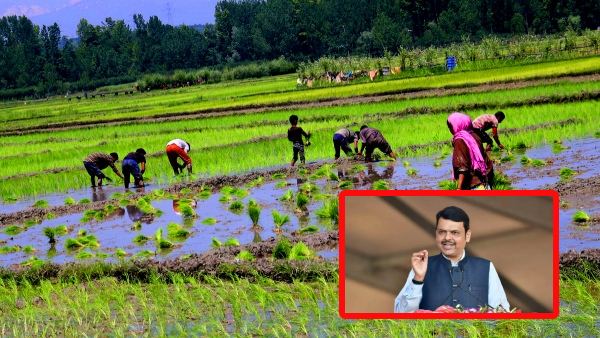 Maharashtra Farmer Loan Waiver Rs 40 980 Cr Scheme to Benefit 56 Lakh Farmers First List Released
