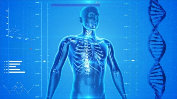 Human Body Why Humans Suffer from Back Pain and Wisdom Teeth Troubles Scientists Blame Evolution Human Body Why Humans Suffer from Back Pain and Wisdom Teeth Troubles Scientists Blame Evolution