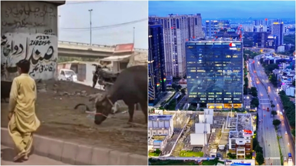 Hyderabad India vs Pakistan Viral Video Sparks Massive Online Discussion Hyderabad Pakistan India