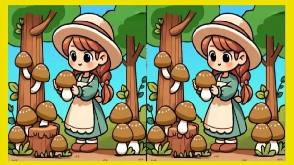 illusion-of-finding-three-differences-in-this-photos-for-test-to-eyes-also-memory-power-improvement
