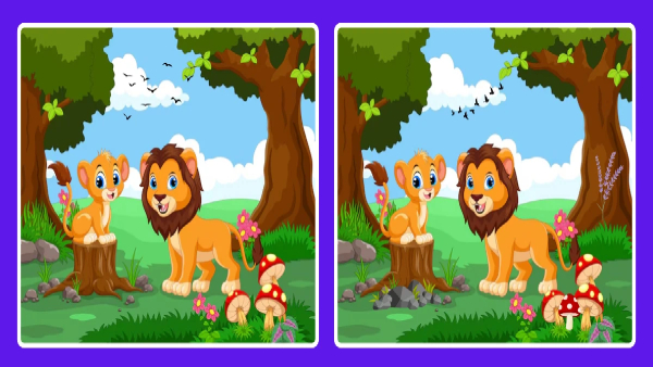 illusion-that-finding-four-differences-from-this-photo-for-test-to-eyes-also-memory-power-improvemen illusion-that-finding-four-differences-from-this-photo-for-test-to-eyes-also-memory-power-improvemen