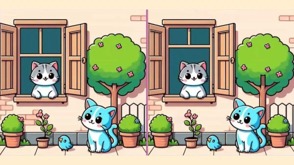 illusion-of-finding-the-three-differences-from-this-photo-for-test-to-eyes-also-memory-power illusion-of-finding-the-three-differences-from-this-photo-for-test-to-eyes-also-memory-power
