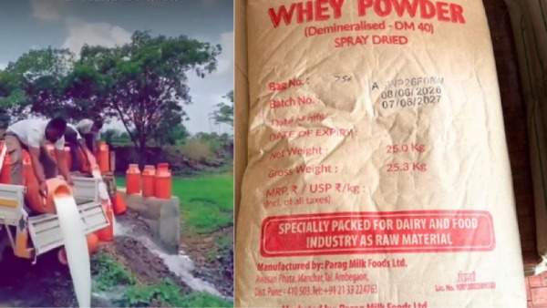 Shocking Milk Scam Exposed in Maharashtra 2 3 Crores Litres of Synthetic Milk Made With Nirma Detergent Shocking Milk Scam Exposed in Maharashtra 2 3 Crores Litres of Synthetic Milk Made With Nirma Detergent