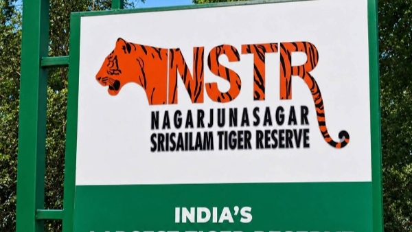 Nagarjunasagar-Srisailam Tiger Reserve Closed to Tourists Till September 30 Nagarjunasagar-Srisailam Tiger Reserve Closed to Tourists Till September 30