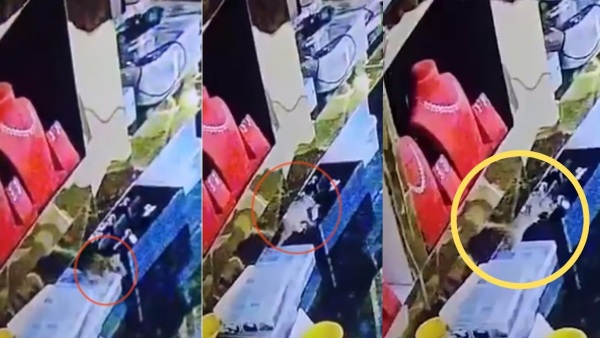 Rat Steals Gold Rings from Jewellery Shop in Karnataka A strange theft CCTV Video Viral Details