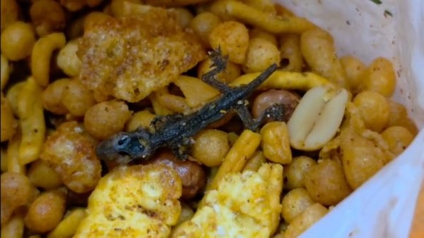 Dead Lizard Found In Sircilla Sweets Pack Food Safety Concerns Rise As Owner Behaves Rudely With Customer Dead Lizard Found In Sircilla Sweets Pack Food Safety Concerns Rise As Owner Behaves Rudely With Customer