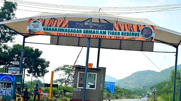 srisailam devotees alert No entry to Nallamala Forest for three months from July 1 to September 30 srisailam devotees alert No entry to Nallamala Forest for three months from July 1 to September 30