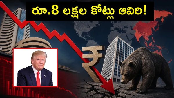 Indian stock market tracking screen showing heavy losses