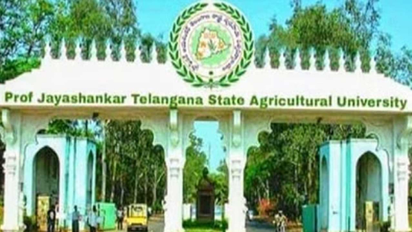 Telangana University Jobs direct recruitment for 984 university posts in Agriculture Horticulture and Veterinary Universities