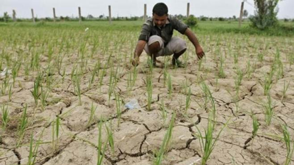 telangana weather no rain in Telangana for the next week until July 20 imd serious alert telangana weather no rain in Telangana for the next week until July 20 imd serious alert