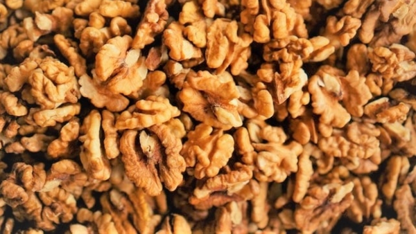 Walnuts which resemble the shape of a brain are beneficial to solve health issues and boosts memory Walnuts which resemble the shape of a brain are beneficial to solve health issues and boosts memory