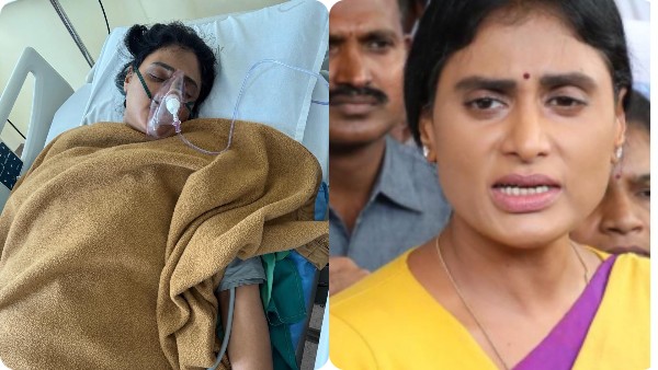 YS Sharmila Recovering Well Following Abdominal Surgery Expresses Gratitude to Supporters YS Sharmila Recovering Well Following Abdominal Surgery Expresses Gratitude to Supporters