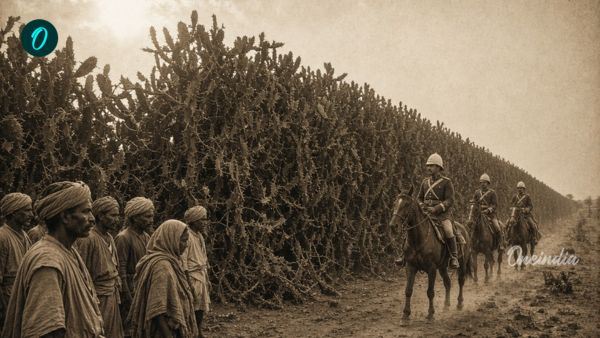 British Imperial Rule in India How a 4000 km Thorn Wall Was Built to Extort Salt Tax From Poor British Imperial Rule in India How a 4000 km Thorn Wall Was Built to Extort Salt Tax From Poor