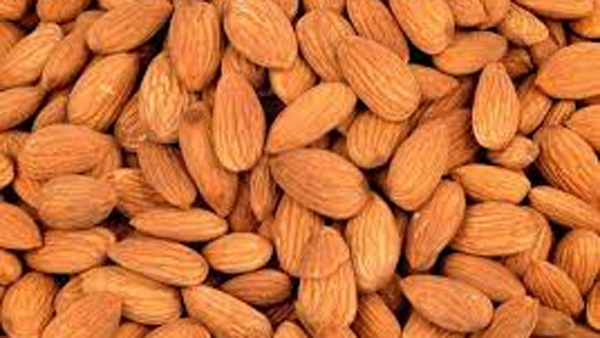 almonds-are-high-in-fibre-proteins-vitamins-minerals-phytochemicals-and-unsaturated-fats-may almonds-are-high-in-fibre-proteins-vitamins-minerals-phytochemicals-and-unsaturated-fats-may