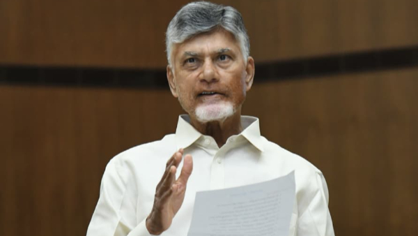 AP Local Body Elections PIL Challenges BC Quota Hike Govt Prepares for Adverse Verdict